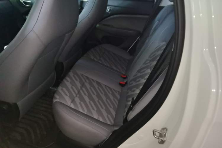 Used Leapmotor T03 2025 310 Comfort Edition Left Rear Seat