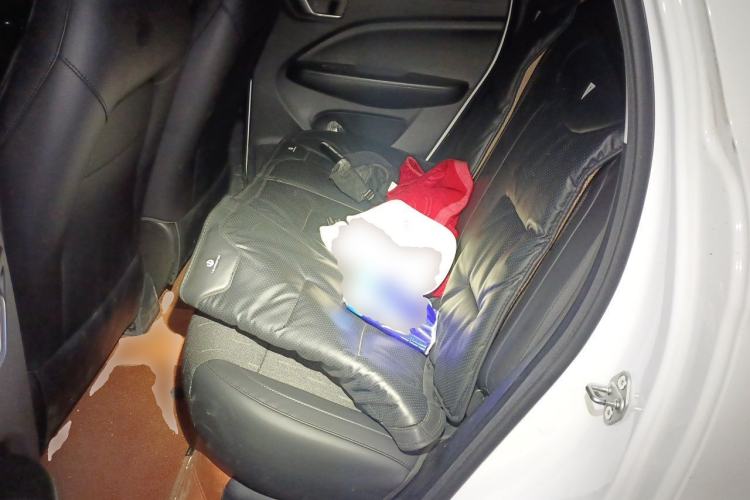 Used Leapmotor T03 2025 310 Comfort Edition Left Rear Seat