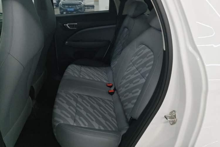 Used Leapmotor T03 2025 310 Comfort Edition Left Rear Seat
