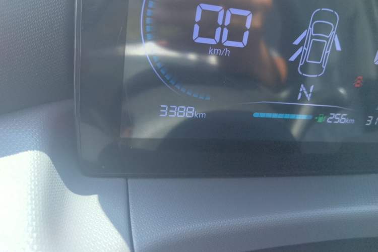 Used Leapmotor T03 2025 310 Comfort Edition Odometer Close Up