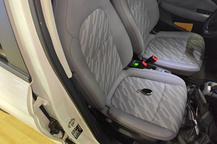 Used Leapmotor T03 2025 310 Comfort Edition Right Front Seat