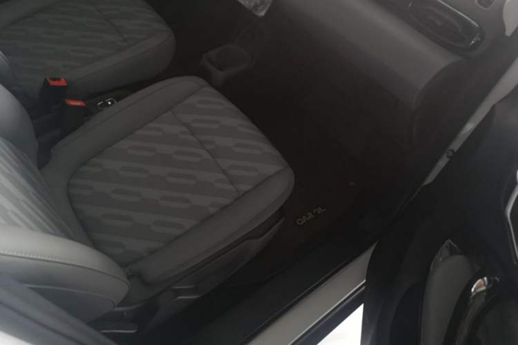 Used Leapmotor T03 2025 310 Comfort Edition Right Front Seat