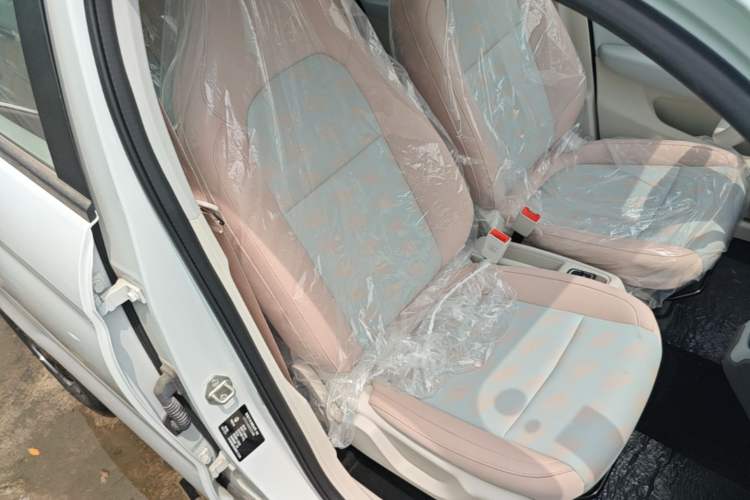 Used Leapmotor T03 2025 310 Comfort Edition Right Front Seat