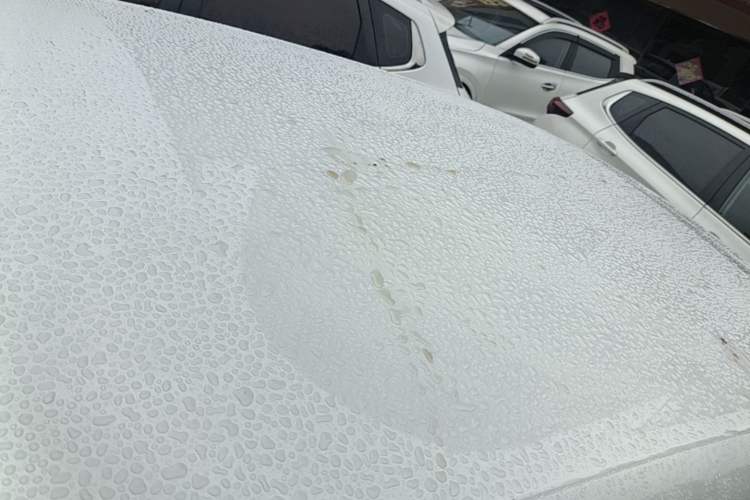 Used Leapmotor T03 2025 310 Comfort Edition Roof
