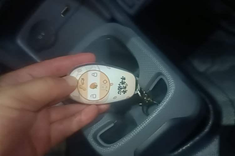 Used Leapmotor T03 2025 310 Comfort Edition Vehicle Key