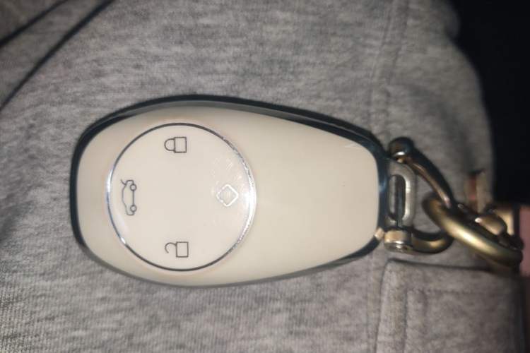Used Leapmotor T03 2025 310 Comfort Edition Vehicle Key