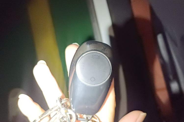 Used Leapmotor T03 2025 310 Comfort Edition Vehicle Key