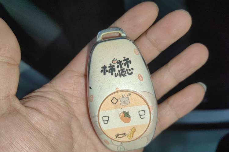 Used Leapmotor T03 2025 310 Comfort Edition Vehicle Key