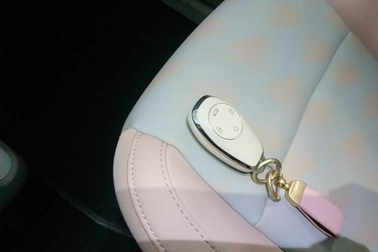 Used Leapmotor T03 2025 310 Comfort Edition Vehicle Key