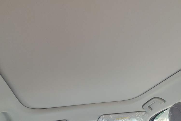 Used Leapmotor Zero Run A10 2026 Model 403 Enjoyment Edition Headliner