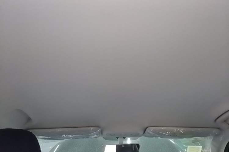 Used Leapmotor Zero Run A10 2026 Model 403 Comfort Edition Headliner