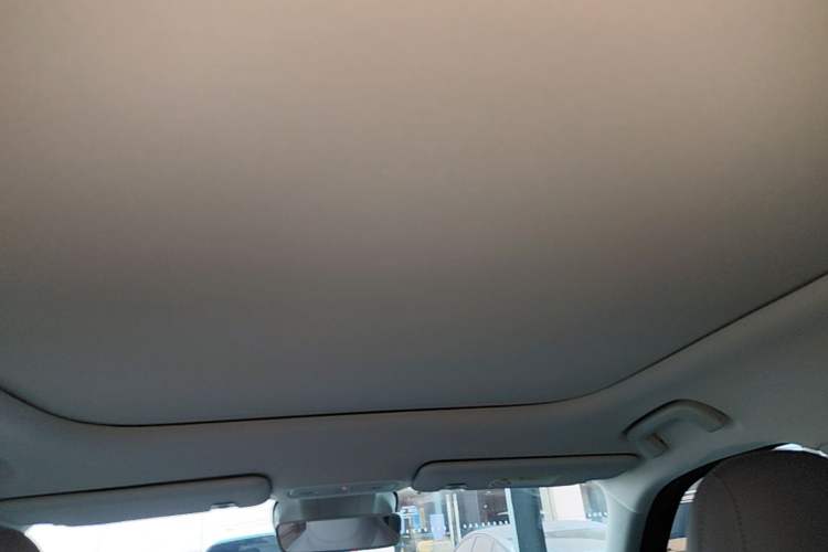 Used Leapmotor Zero Run A10 2026 Model 403 Enjoyment Edition Headliner