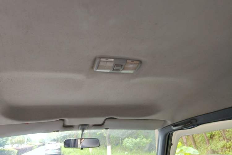 Used Leopaard 6481 2009 2.2L Manual 4x4 Headliner
