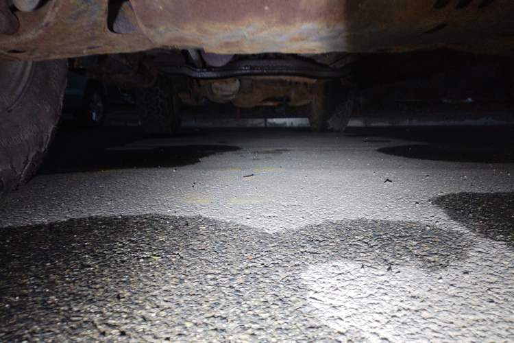 Used Leopaard 6481 2009 2.2L Manual Two-Wheel Drive Chassis Front
