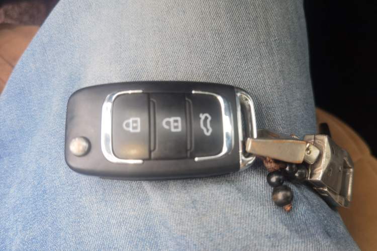 Used Leopaard CS10 2015 2.0T Manual Excellence Edition Vehicle Key