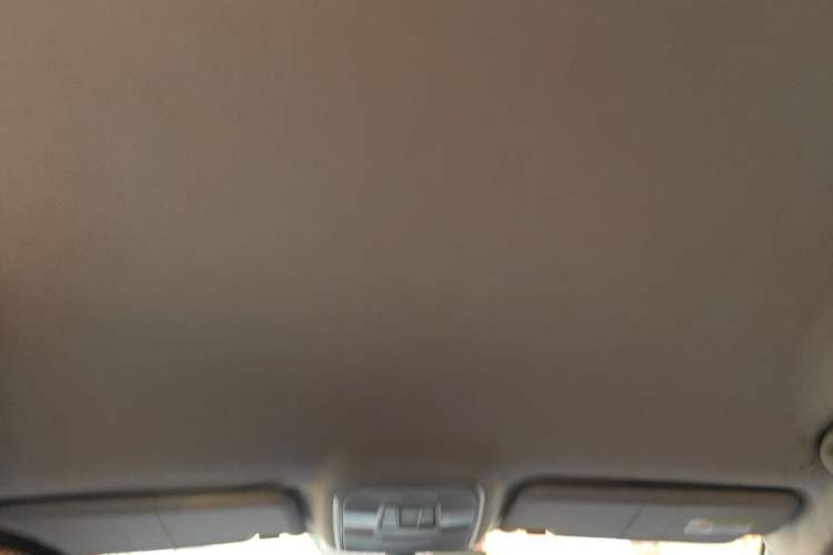 Used Leopaard CS10 2015 2.0T Manual Fashion Edition Headliner
