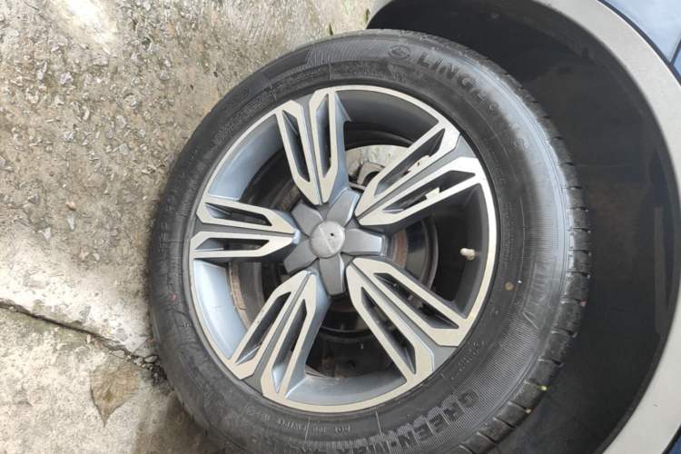 Used Leopaard CS10 2015 2.0T Manual Excellence Edition Right Rear Wheel Hub