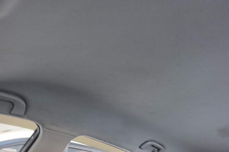 Used Leopaard CS10 2015 2.0T Manual New Generation Trim Headliner