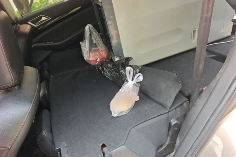 Used Leopaard CS10 2015 2.0T Manual Fashion Edition Left Rear Seat