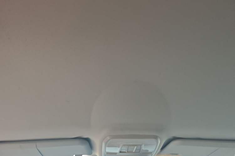 Used Leopaard CS10 2015 2.0T Manual Fashion Edition Headliner