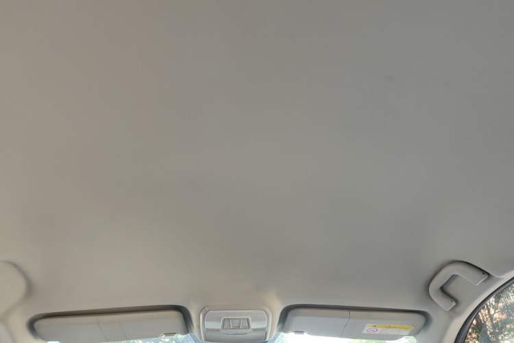 Used Leopaard CS10 2015 2.0T Manual Fashion Edition Headliner
