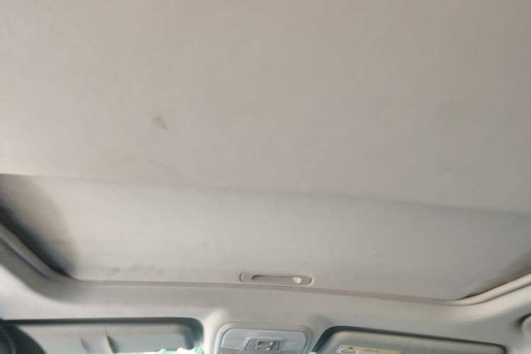 Used Leopaard CS10 2015 2.0T Manual Excellence Edition Headliner