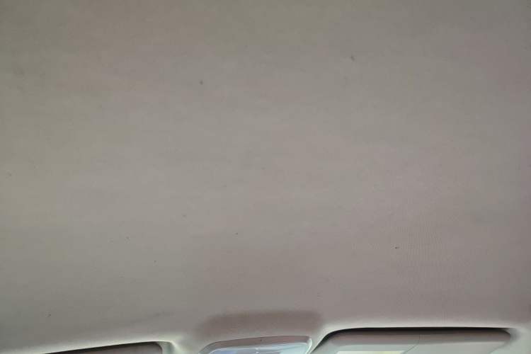 Used Leopaard CS10 2015 2.0T Manual New Generation Trim Headliner