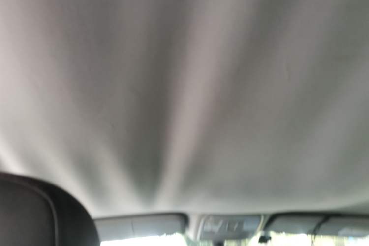 Used Leopaard CS10 2015 2.0T Manual Fashion Edition Headliner