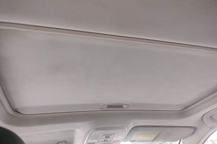 Used Leopaard CS10 2016 2.0T Manual Excellence Edition Headliner