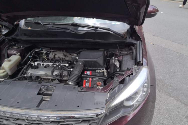 Used Leopaard CS10 2016 2.0T Automatic Urban Version Engine Bay Left