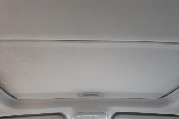Used Leopaard CS10 2016 2.0T Manual Excellence Edition Headliner