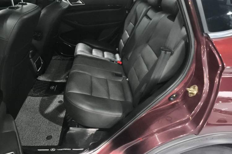 Used Leopaard CS10 2016 2.0T Automatic Luxury Edition Left Rear Seat
