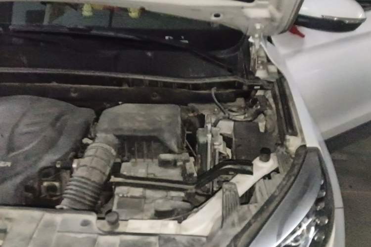 Used Leopaard CS10 2016 2.0T Automatic Luxury Version Engine Bay Left