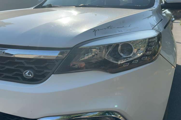 Used Leopaard CS10 2016 2.0T Manual New Edition Exterior 8