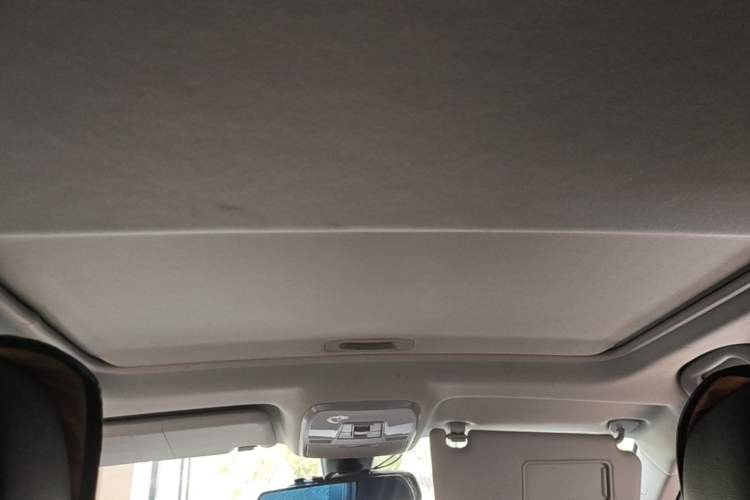 Used Leopaard CS10 2016 2.0T Automatic Luxury Version Headliner