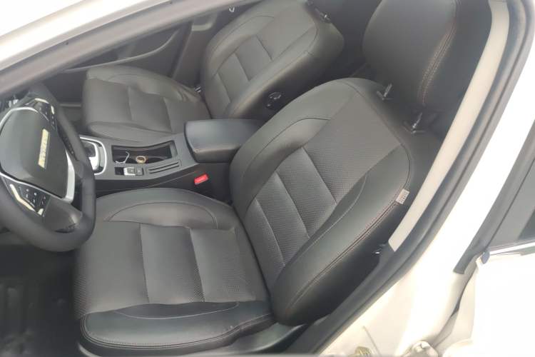 Used Leopaard CS10 2016 2.0T Automatic Luxury Edition Left Front Seat