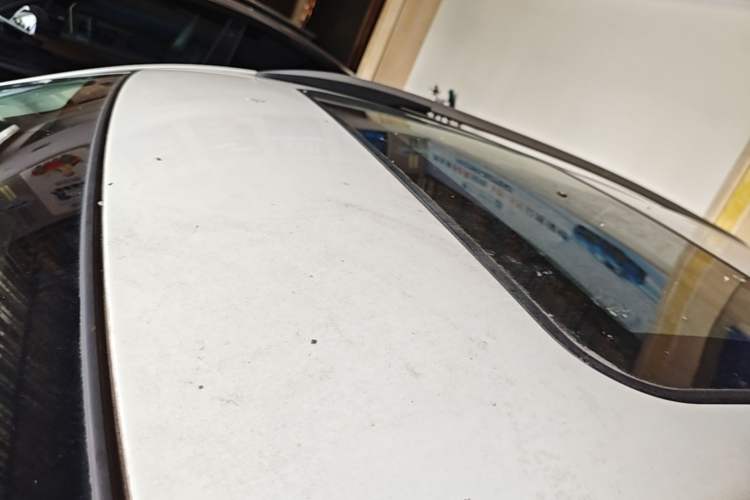 Used Leopaard CS10 2016 2.0T Automatic Luxury Version Roof