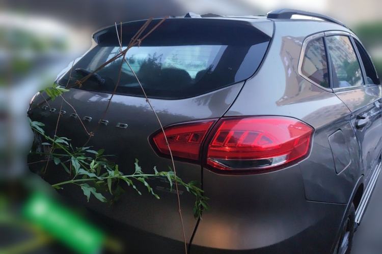 Used Leopaard CS10 2016 2.0T Manual Excellence Edition Rear