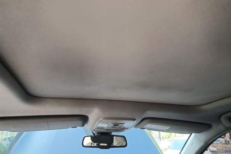 Used Leopaard CS10 2017 2.0T Automatic Luxury Model Headliner