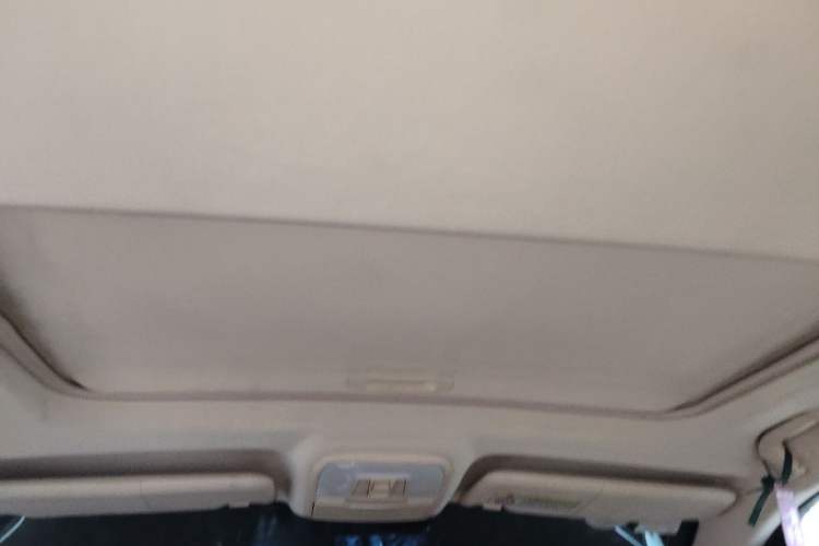 Used Leopaard CS10 2017 2.0T Automatic Urban Version Headliner