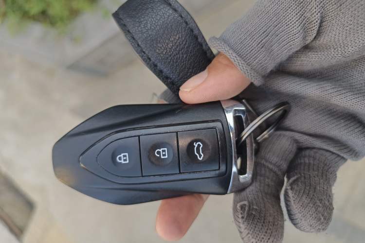Used Leopaard CS10 2017 2.0T Automatic Luxury Model Interior 1