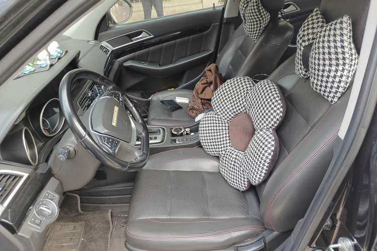 Used Leopaard CS10 2017 2.0T Automatic Luxury Model Left Front Seat