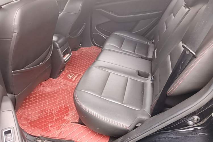 Used Leopaard CS10 2017 2.0T Automatic Urban Version Left Rear Seat