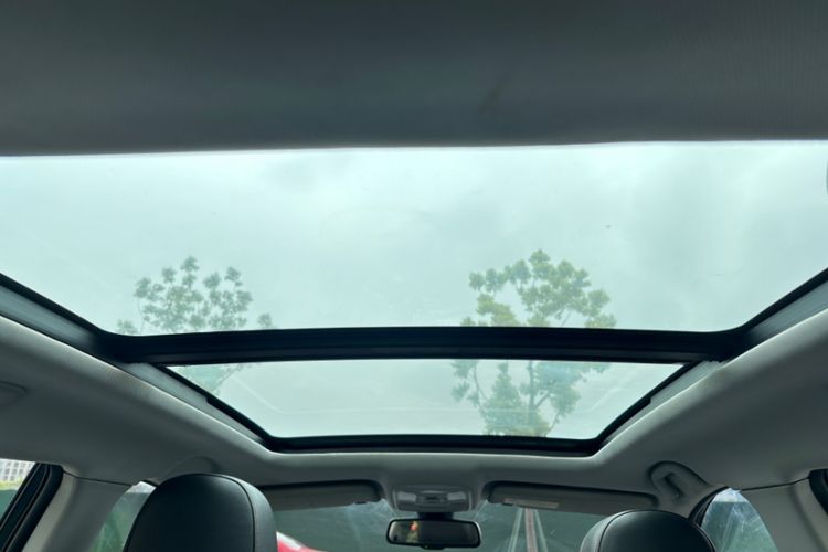 Used Leopaard CS10 2017 2.0T Manual Excellence Edition Headliner