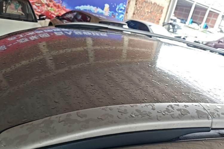 Used Leopaard CS10 2017 1.5T CVT Elite Model Roof