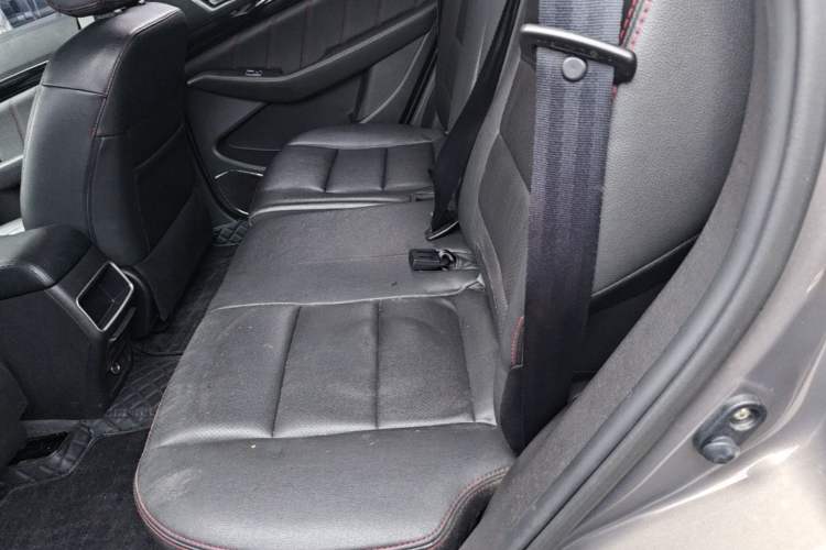 Used Leopaard CS10 2017 2.0T Automatic Urban Version Left Rear Seat