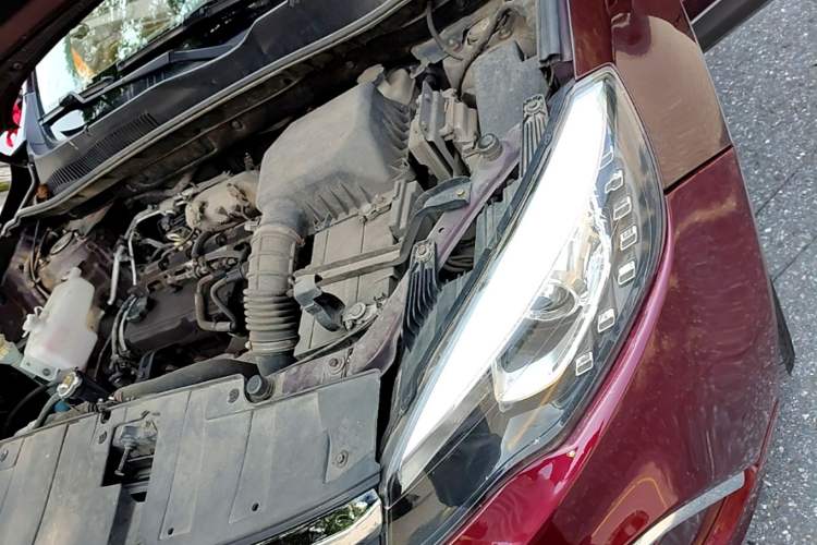 Used Leopaard CS10 2017 2.0T Automatic Urban Version Engine Bay Left