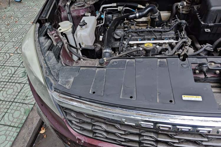 Used Leopaard CS10 2017 1.5T CVT Luxury Model Engine Bay Right