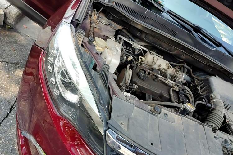 Used Leopaard CS10 2017 2.0T Automatic Urban Version Engine Bay Right