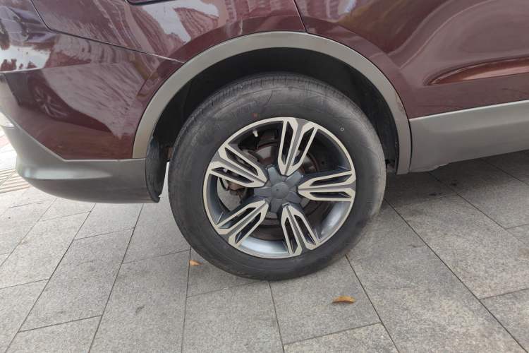 Used Leopaard CS10 2017 1.5T Manual Prestige Model Exterior 8
